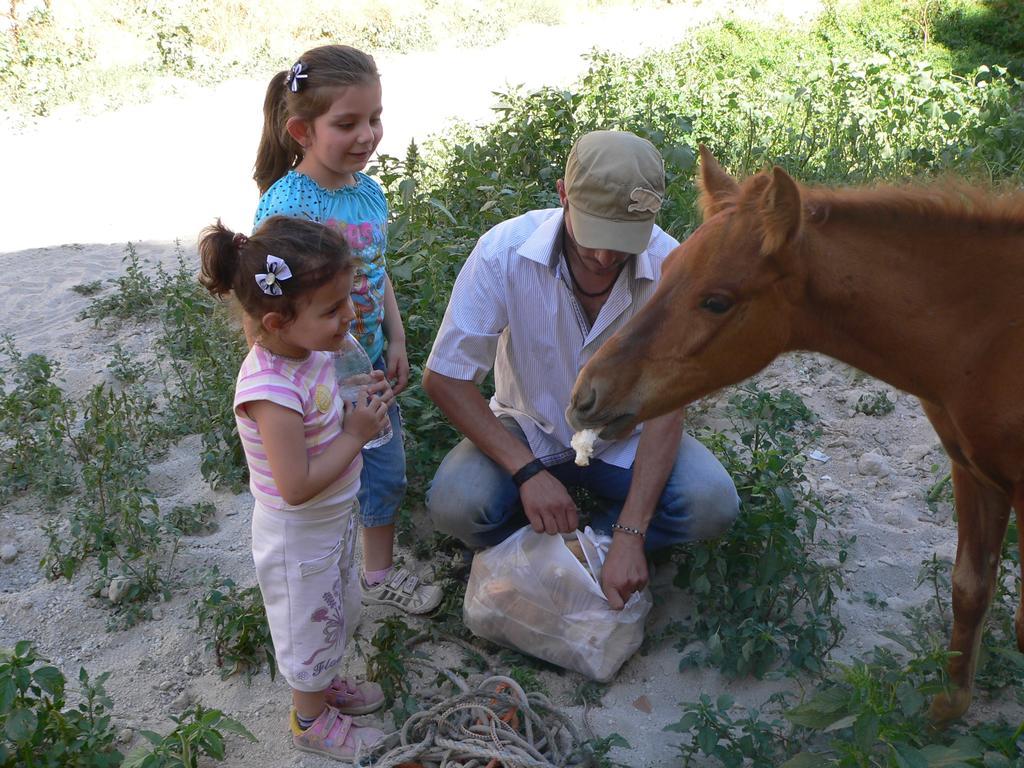 אורגופ Crazy Horse Pension מראה חיצוני תמונה