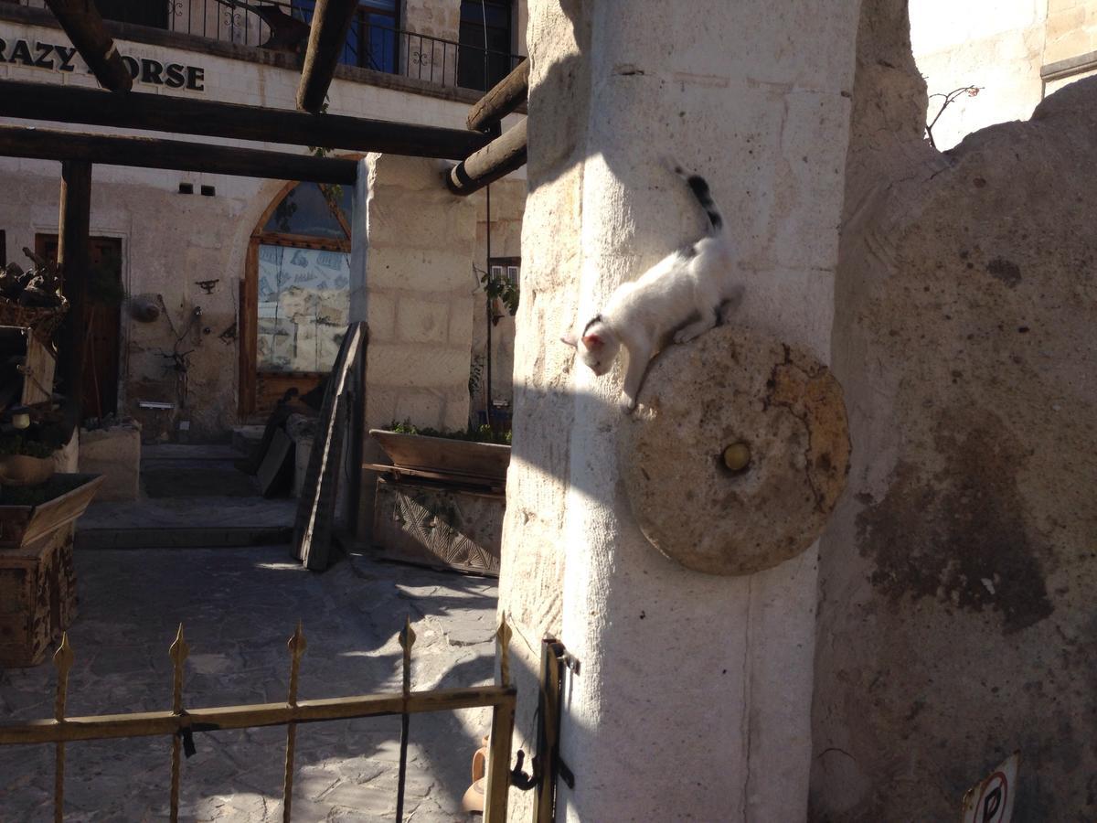 אורגופ Crazy Horse Pension מראה חיצוני תמונה